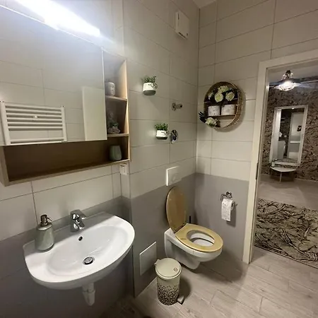 Newlevel Apartment Brasov