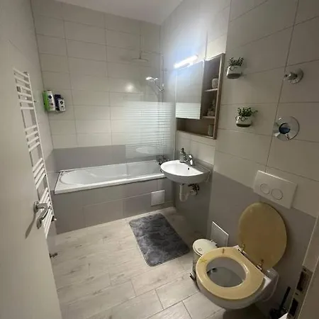 Newlevel * Brašov