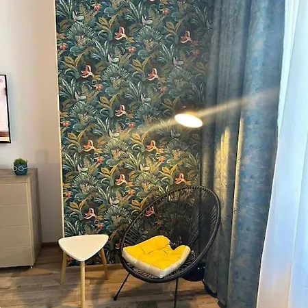 Newlevel Brašov