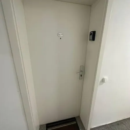 Newlevel * Brašov