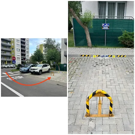 Newlevel Brasov