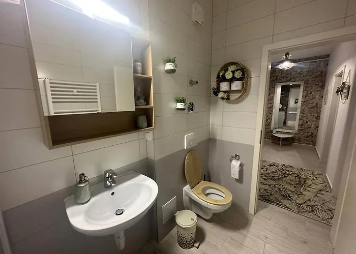 Newlevel Apartment Brasov